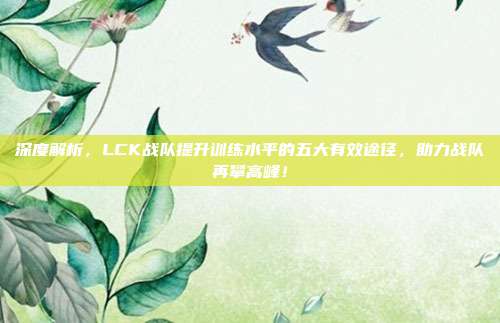 深度解析，LCK战队提升训练水平的五大有效途径，助力战队再攀高峰！