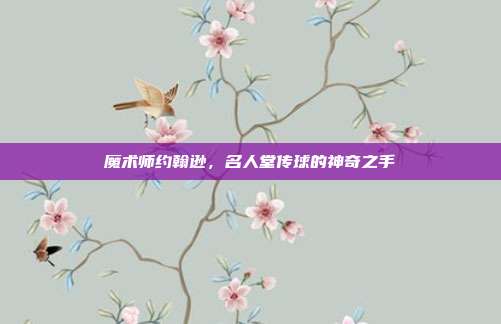 魔术师约翰逊，名人堂传球的神奇之手