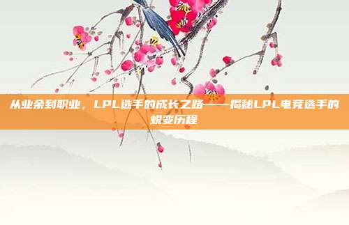 从业余到职业，LPL选手的成长之路——揭秘LPL电竞选手的蜕变历程