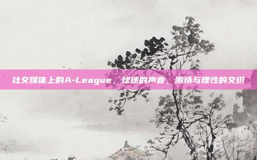 社交媒体上的A-League，球迷的声音，激情与理性的交织