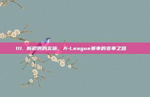 111. 新规则的实施，A-League赛事的变革之路🔄