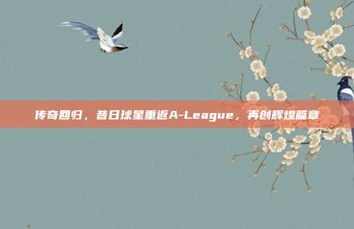 传奇回归，昔日球星重返A-League，再创辉煌篇章