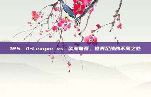 125. A-League vs. 欧洲联赛，世界足球的不同之处