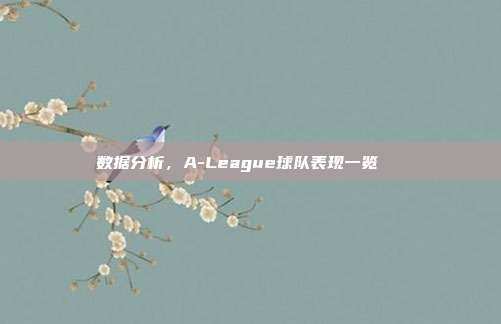 数据分析，A-League球队表现一览📊