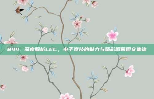 844. 深度解析LEC，电子竞技的魅力与精彩瞬间图文集锦